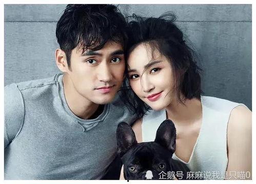 吃瓜明星娛樂(lè )圈百度云下載,揭秘熱門(mén)下載背后的故事