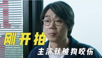 娛樂(lè)吃瓜君投票,最受歡迎明星榜單大揭秘！