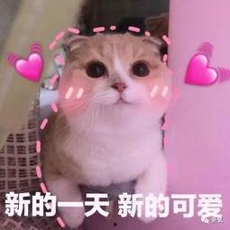 羊了個(gè)羊吃瓜娛樂(lè ),吃瓜娛樂(lè )背后的網(wǎng)絡(luò )狂歡