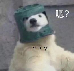 羊了個(gè)羊吃瓜娛樂(lè ),吃瓜娛樂(lè )背后的網(wǎng)絡(luò )狂歡