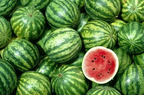 娛樂(lè )吃瓜作品在哪看,盤(pán)點(diǎn)各大平臺熱門(mén)作品一覽