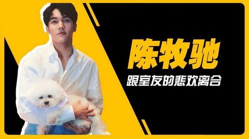 吳楚一娛樂(lè )圈吃瓜,揭秘明星背后的“吃瓜”故事