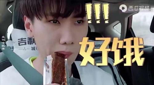 愛(ài)豆吃瓜娛樂(lè )醬肖宇梁,愛(ài)豆吃瓜娛樂(lè )醬，揭秘娛樂(lè )圈幕后故事