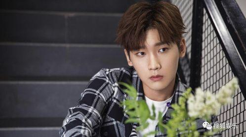 愛(ài)豆吃瓜娛樂(lè )醬肖宇梁,愛(ài)豆吃瓜娛樂(lè )醬，揭秘娛樂(lè )圈幕后故事