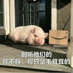 娛樂(lè )吃瓜醬豬豬視頻下載,揭秘熱門(mén)娛樂(lè )內容獲取新方式